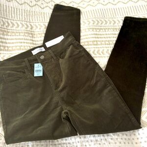 NWT Loft women’s dark evergreen green skinny cordouroy pants size 25 / 0